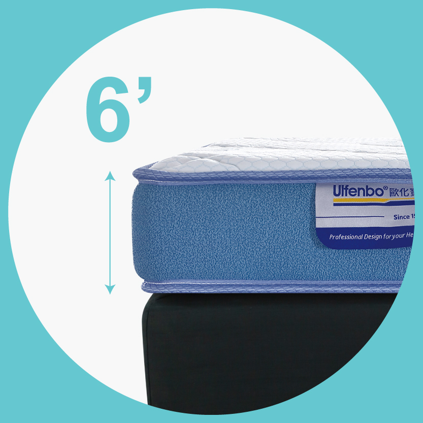 冰藍薄裝護脊床褥結構圖；6吋床褥；單面床褥；歐化寶；獨立袋裝彈簧